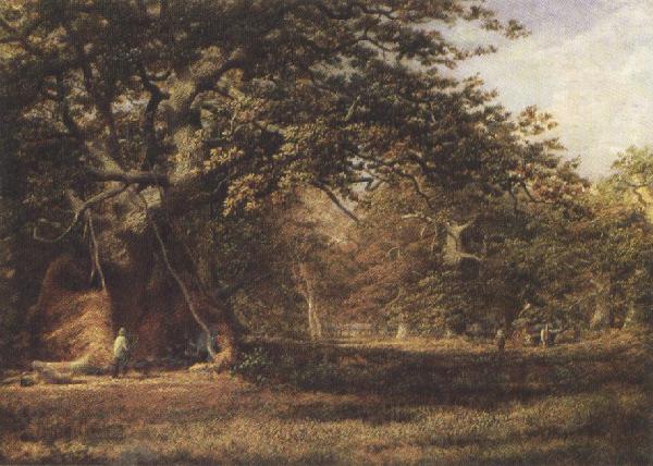 Alfred wilson cox The Woodmans'Bower,Birkland,Sherwood Forest (mk37) Norge oil painting art